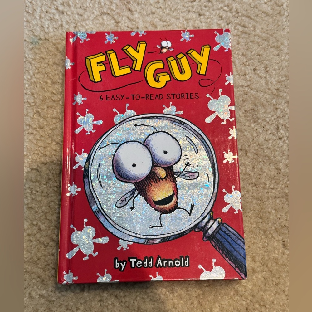 Fly guy book hardcover